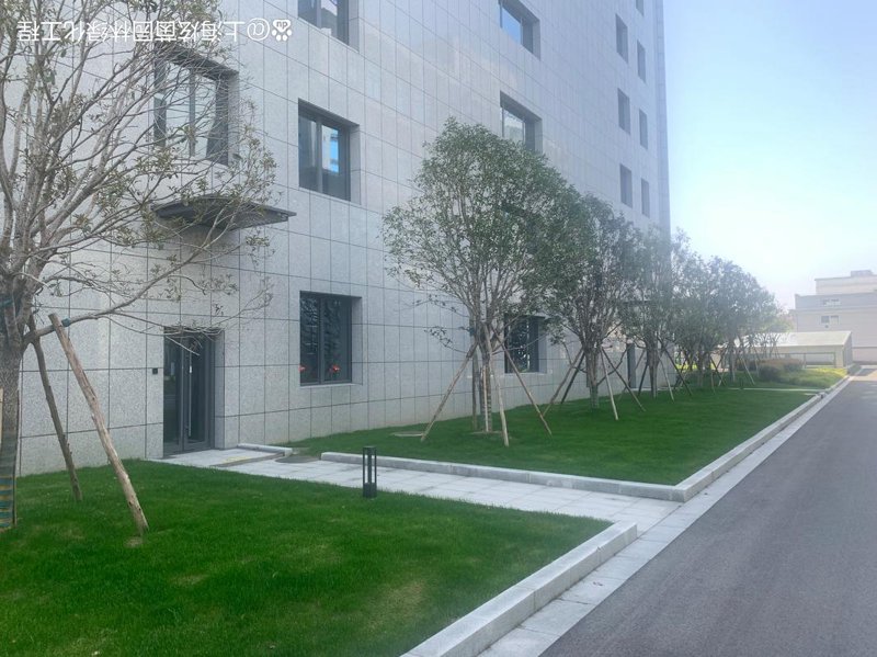屋顶花园设计：城市绿色生态的新趋势